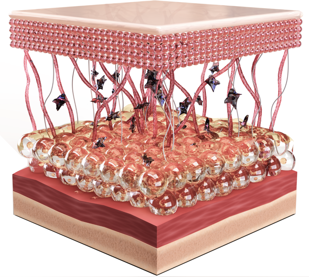 Vamp Micro-needling facial 3 Sessions